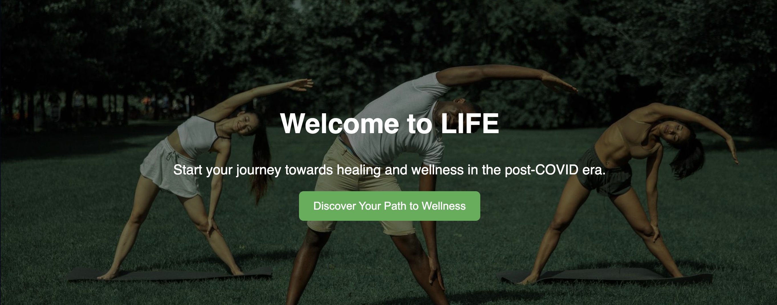 Life wellness project